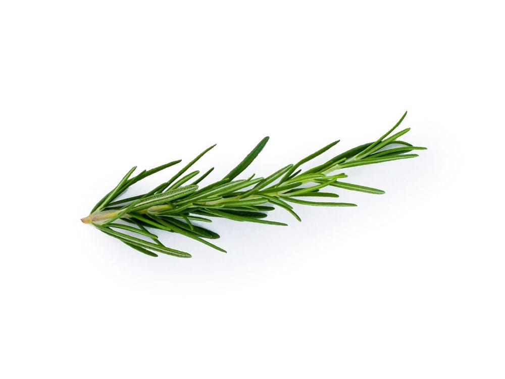 Hair Restoration Laboratories 