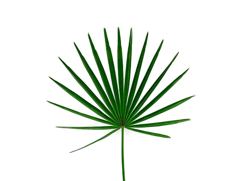 Hair Restoration Laboratories 